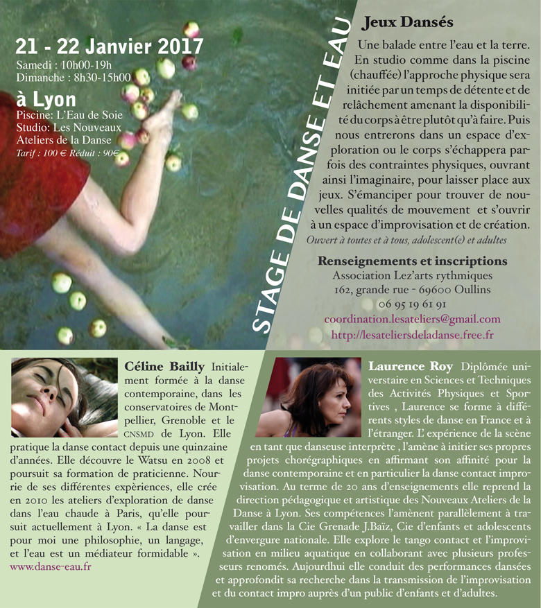 Stage Janvier2017